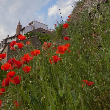 Cases Dels Gasulla Casa rural